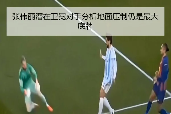 张伟丽潜在卫冕对手分析地面压制仍是最大底牌